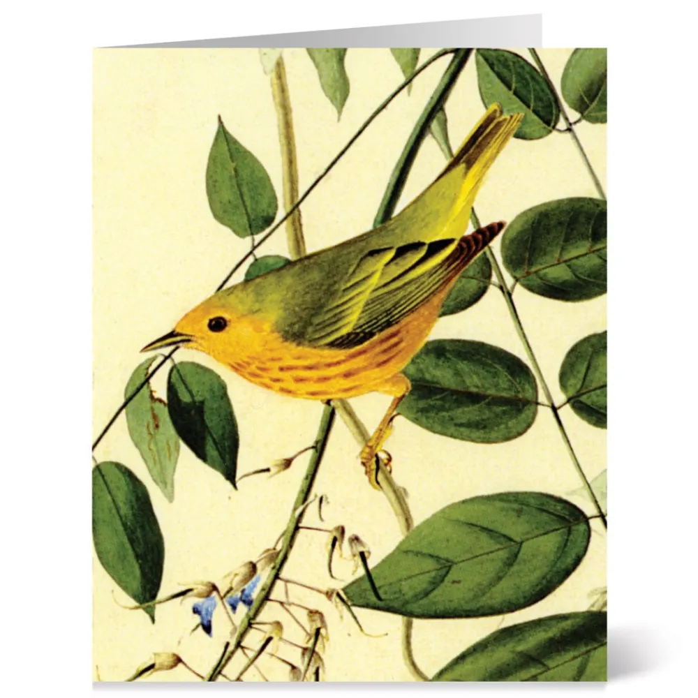 audubon_birds_notecards_1.webp Audubon Birds Notecards*The Met Store Clearance