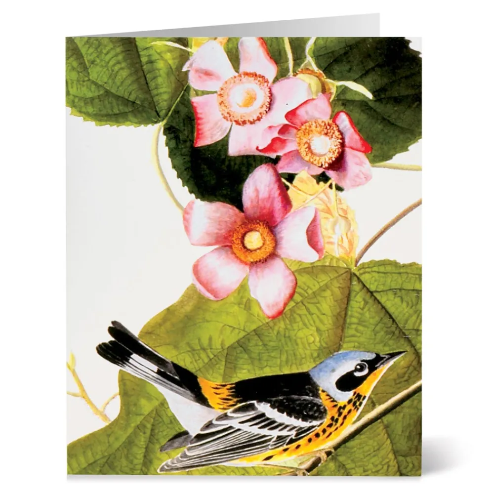 audubon_birds_notecards_3.webp Audubon Birds Notecards*The Met Store Clearance