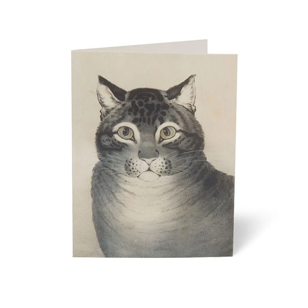 cats_of_the_met_notecards_3.webp Cats of The Met Notecards*The Met Store Cheap
