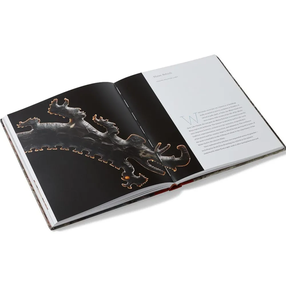 lives_of_the_gods_divinity_in_maya_art_3.webp Lives of the Gods: Divinity in Maya Art*The Met Store Cheap