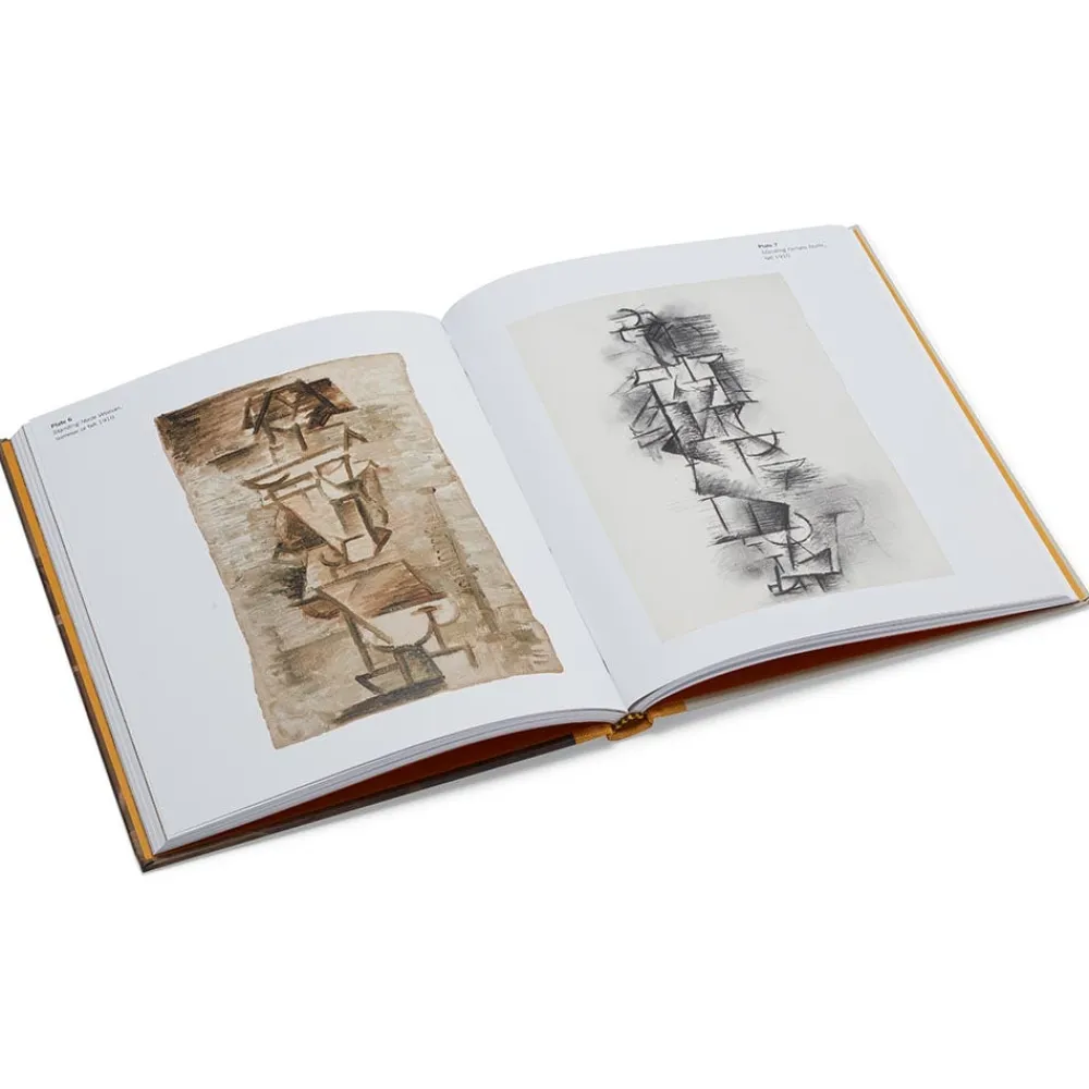 picasso_a_cubist_commission_in_brooklyn_1.webp Picasso: A Cubist Commission in Brooklyn*The Met Store Store