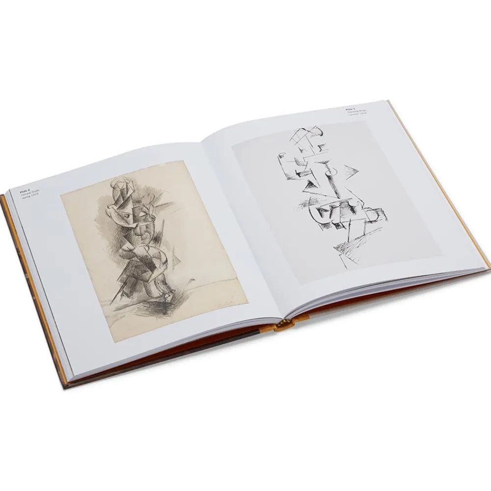 picasso_a_cubist_commission_in_brooklyn_6.webp Picasso: A Cubist Commission in Brooklyn*The Met Store Store