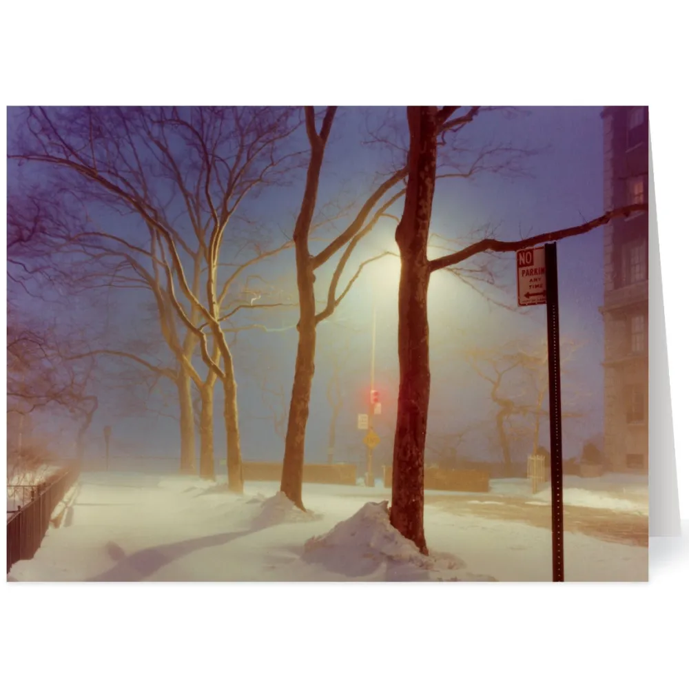 staller_sutton_place_new_york_city_holiday_cards_0.webp Staller: Sutton Place, New York City Holiday Cards*The Met Store Best Sale