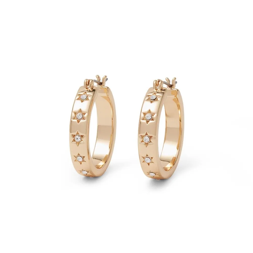 star_hoop_earrings_0.webp Star Hoop Earrings*The Met Store Cheap