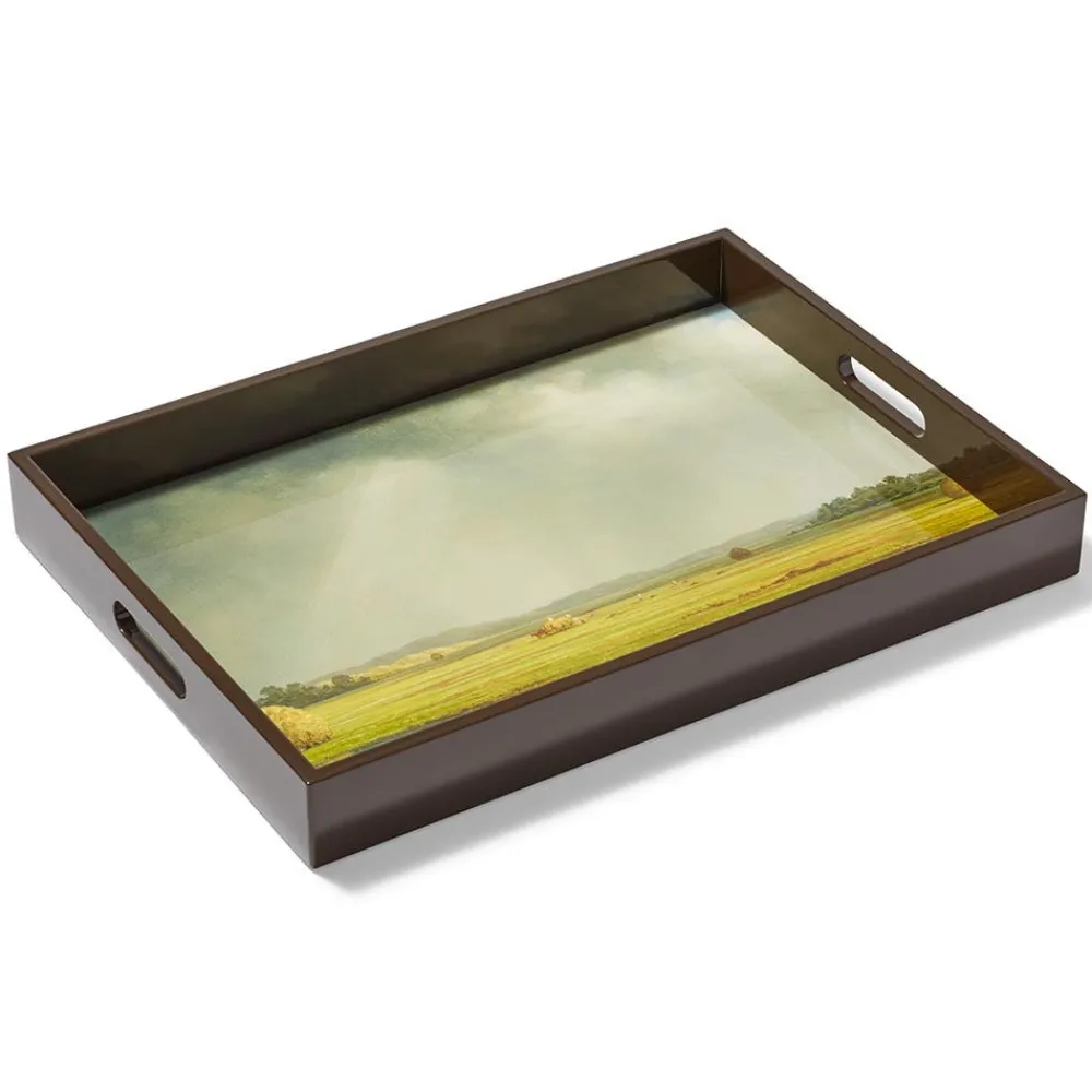 sublime_landscapes_heade_newburyport_meadows_large_lacquer_tray_1.webp Sublime Landscapes Heade Newburyport Meadows Large Lacquer Tray*The Met Store Outlet