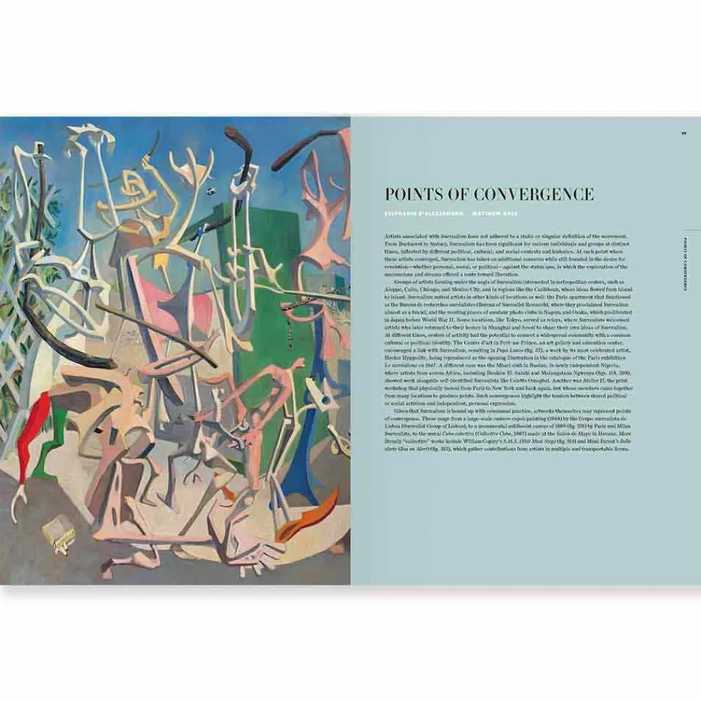 surrealism_beyond_borders_2.webp Surrealism Beyond Borders*The Met Store Best Sale