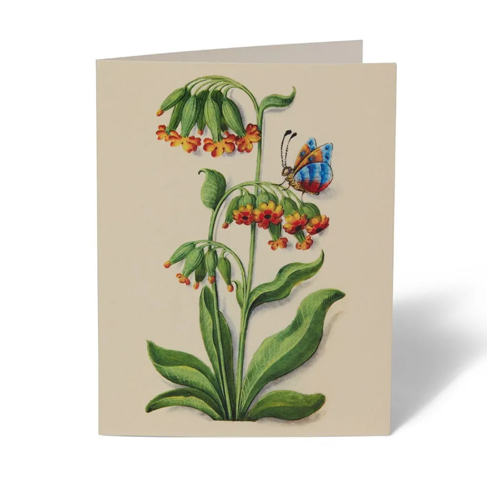 the_met_cloisters_garden_notecards_10.webp The Met Cloisters Garden Notecards*The Met Store Flash Sale