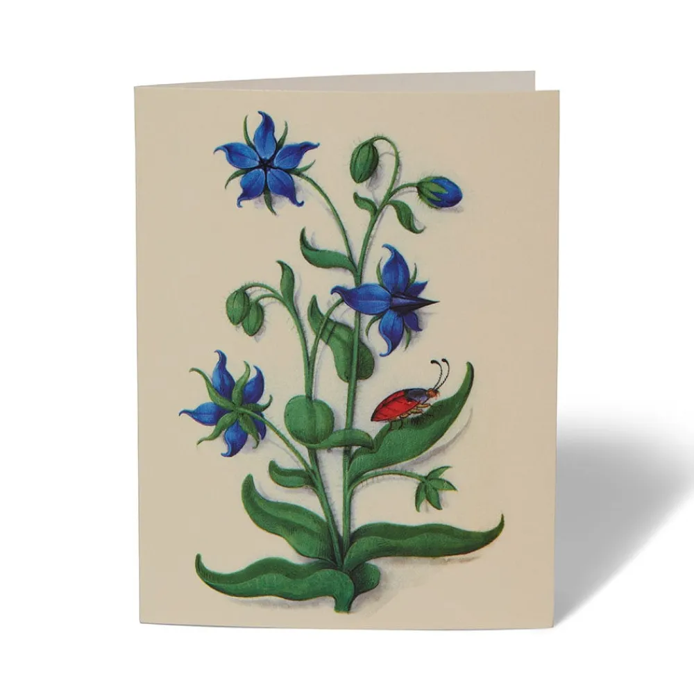 the_met_cloisters_garden_notecards_2.webp The Met Cloisters Garden Notecards*The Met Store Flash Sale