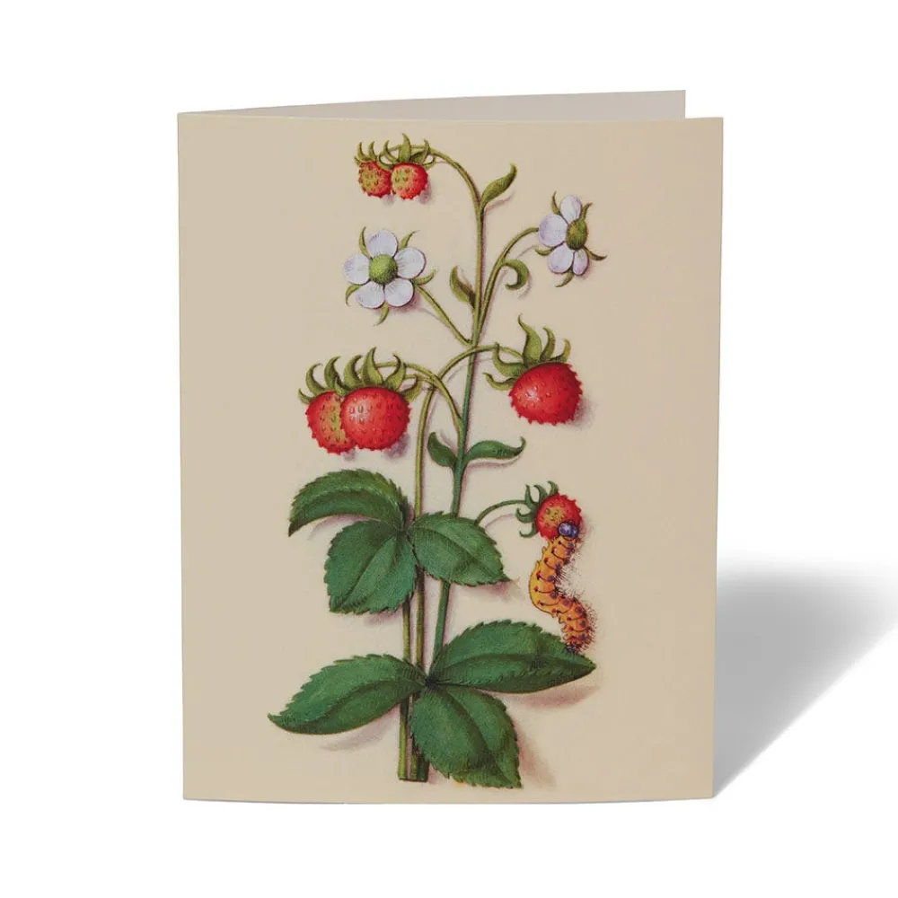 the_met_cloisters_garden_notecards_3.webp The Met Cloisters Garden Notecards*The Met Store Flash Sale