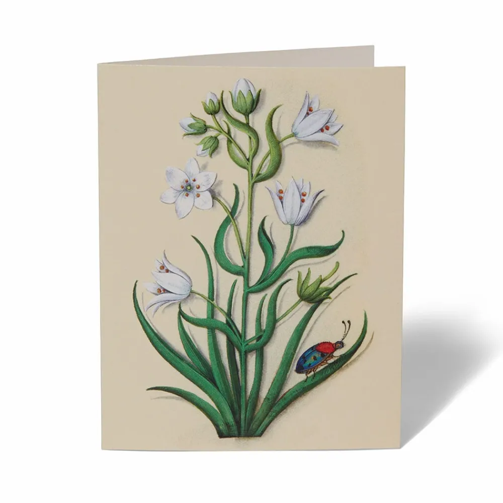the_met_cloisters_garden_notecards_4.webp The Met Cloisters Garden Notecards*The Met Store Flash Sale