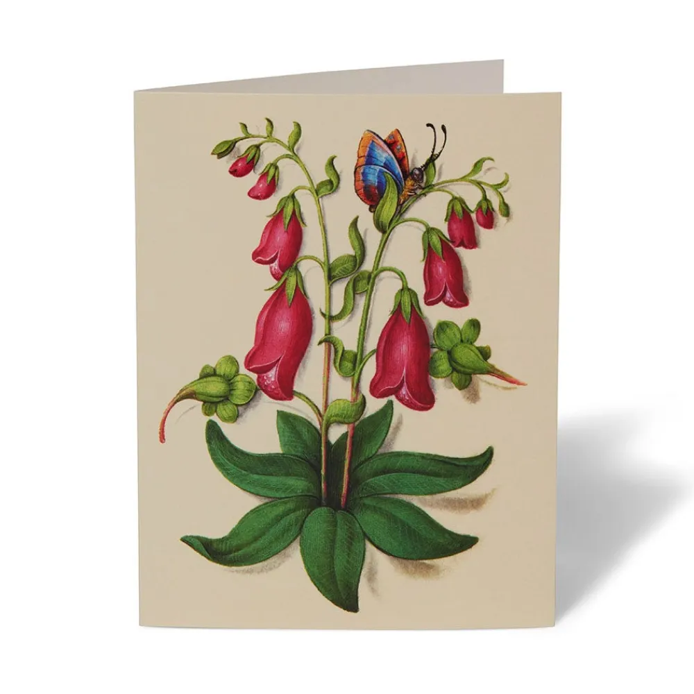 the_met_cloisters_garden_notecards_9.webp The Met Cloisters Garden Notecards*The Met Store Flash Sale