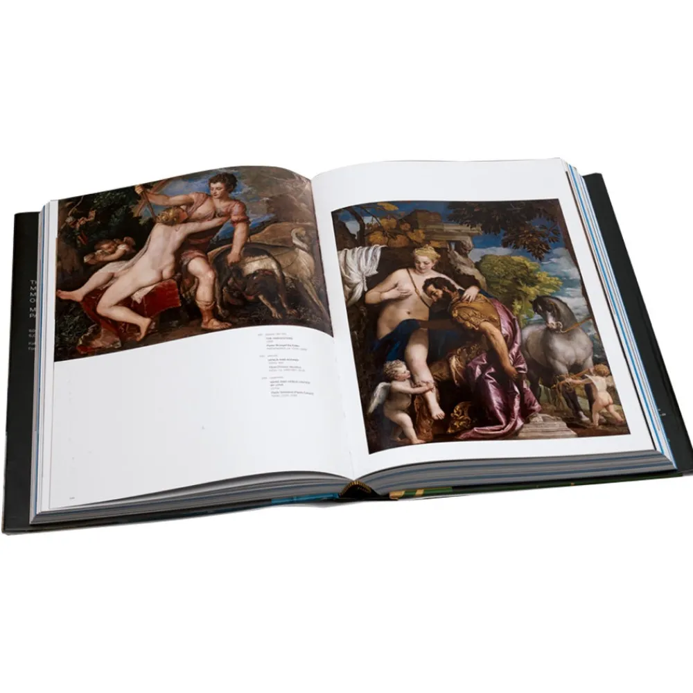 the_metropolitan_museum_of_art_masterpiece_paintings_1.webp The Metropolitan Museum of Art: Masterpiece Paintings*The Met Store Hot
